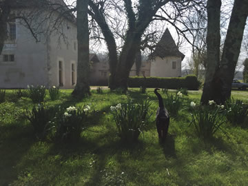 Château de Beauséjour - 81